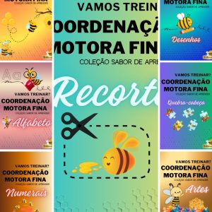 COMBO: COORDENA&Ccedil;&Atilde;O MOTORA FINA &ndash; COLE&Ccedil;&Atilde;O COMPLETA COM 7 VOLUMES